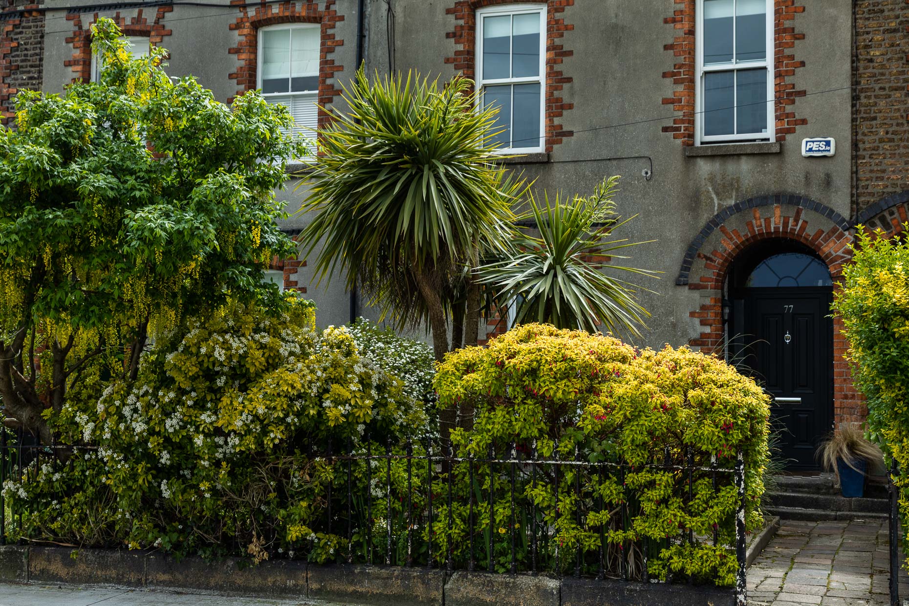 210517-AH-Ireland-6048