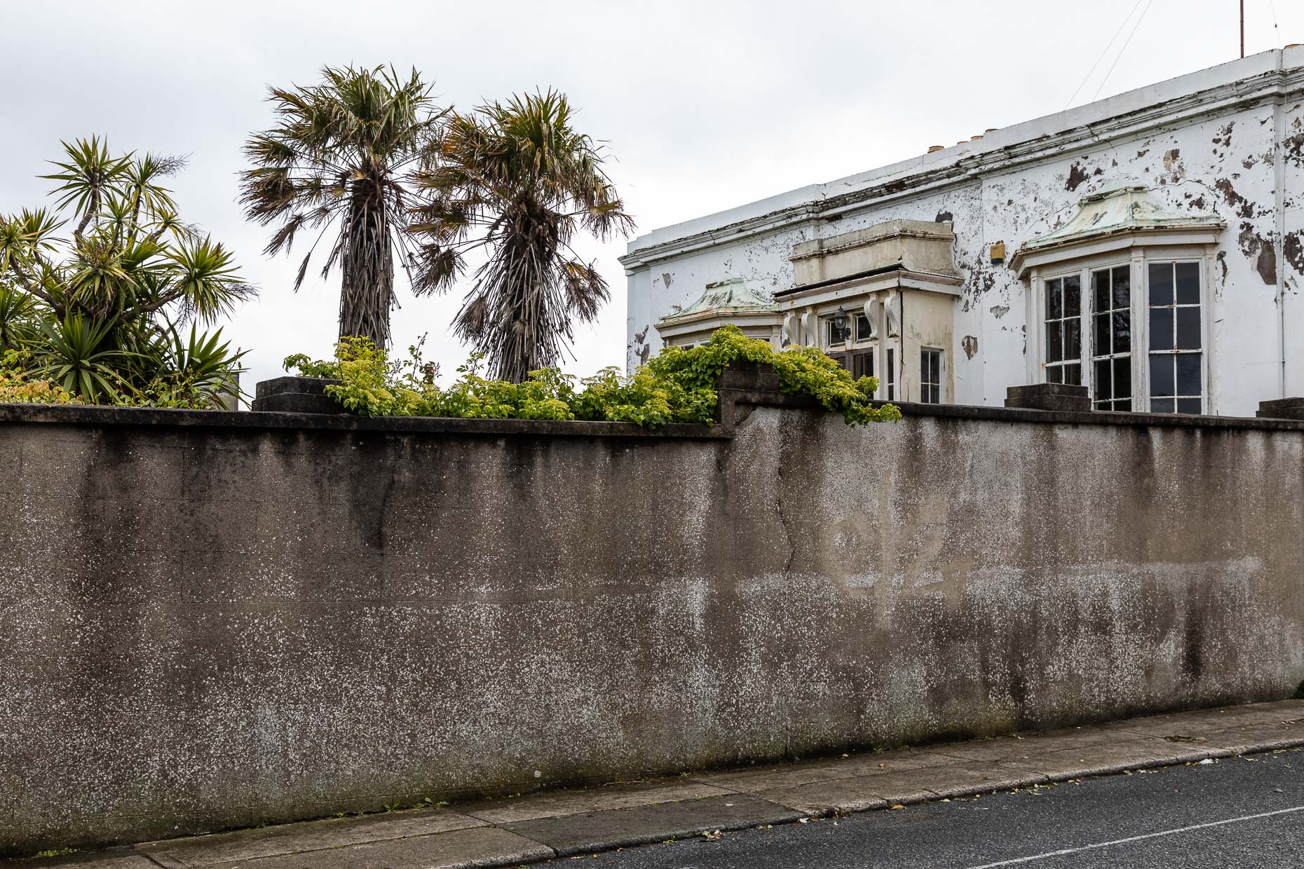 210517-AH-Ireland-6963