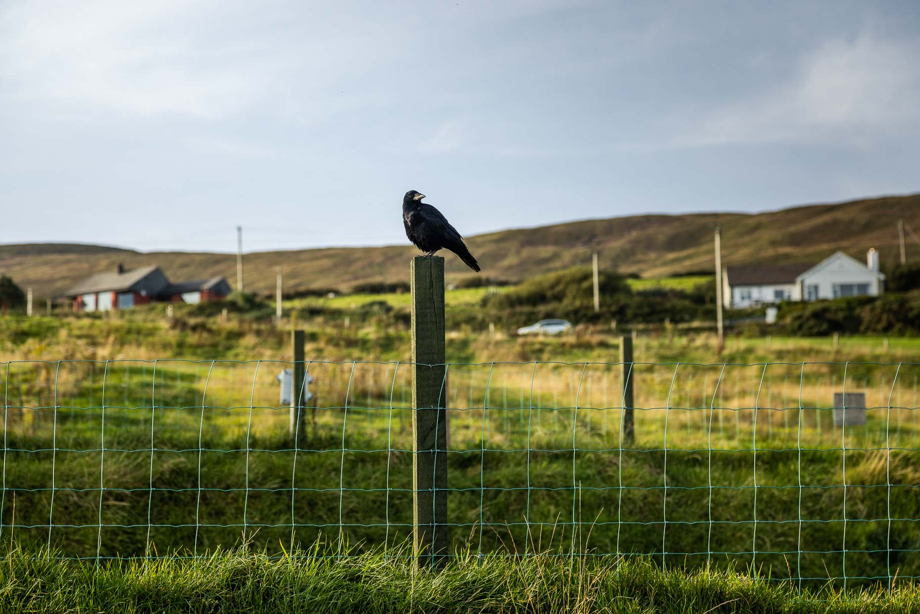 210918-AH-VITTI-Ireland-6961