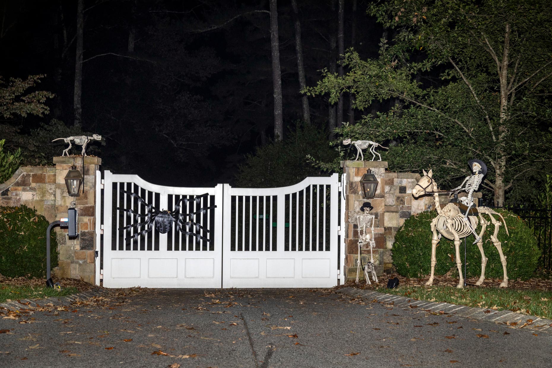 WEB-201013-AH-Halloween-0089