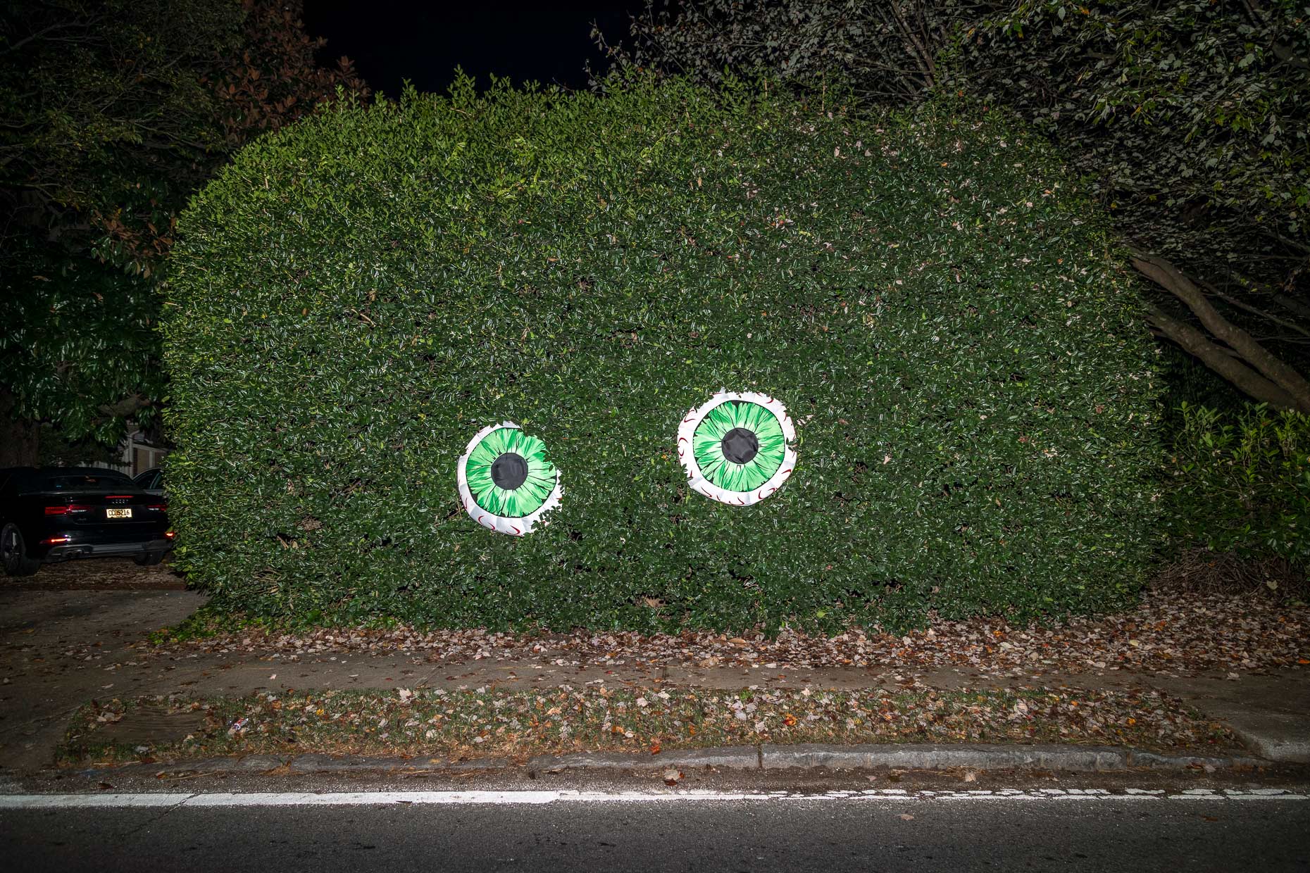 WEB-201026-AH-Halloween-1471